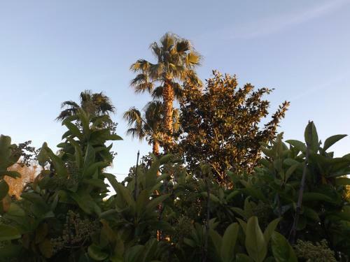Villetta Del Salento Exclusive B&B