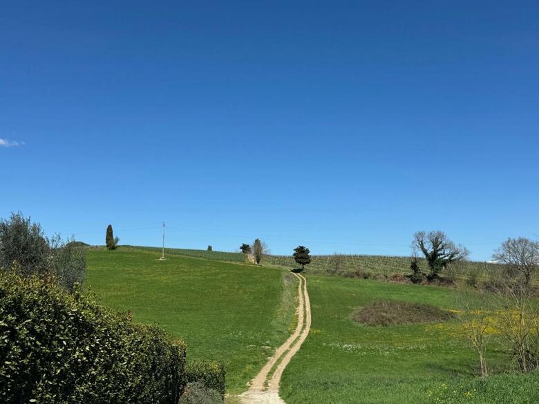 Apartamento Orvieto Country House