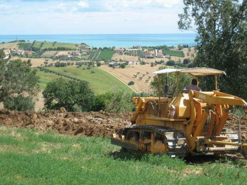 Agroturismo L'orso E L'ape B&B