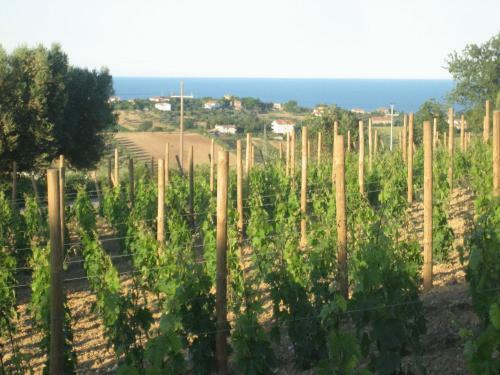 Agroturismo L'orso E L'ape B&B