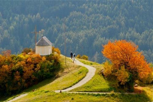 Hotel Wandergasthof Stern