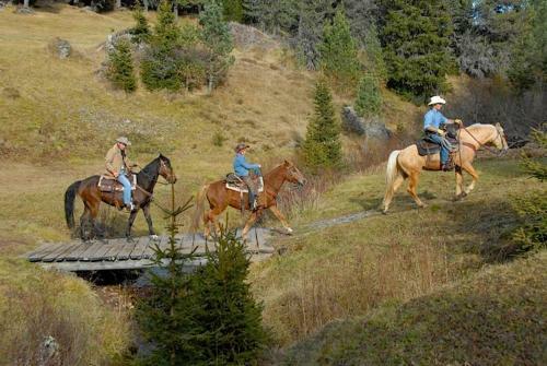 Agroturismo Rieferhof