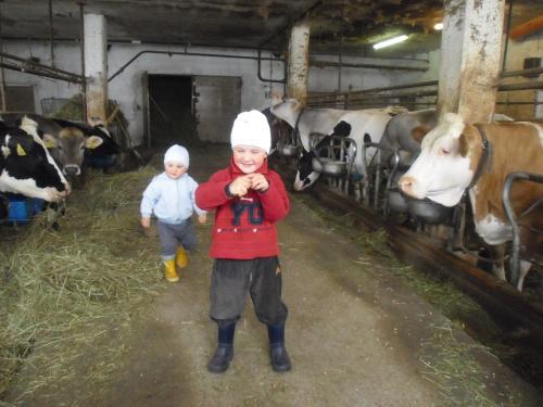 Agroturismo Mantingerhof