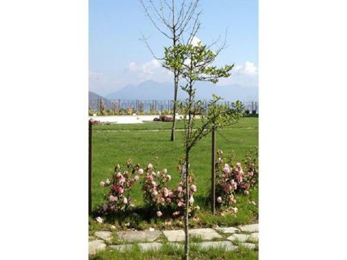 Lake Maggiore Apartment