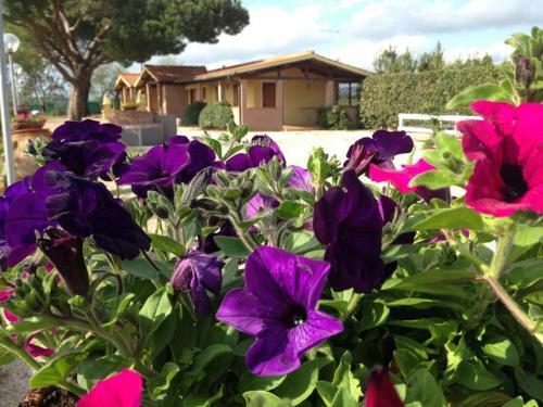 Apartamento Tortuga Casa Vacanze