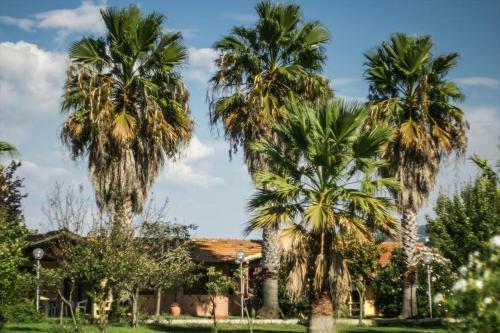 Apartamento Tortuga Casa Vacanze