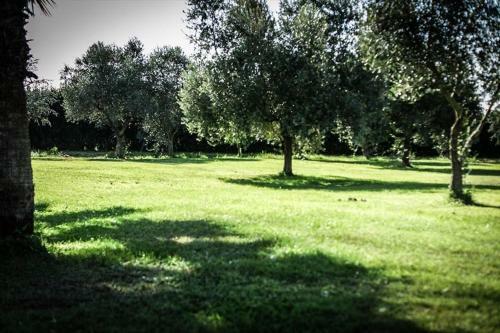 Apartamento Tortuga Casa Vacanze