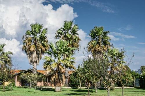 Apartamento Tortuga Casa Vacanze