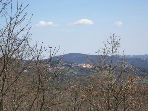 Apartamento Orizzonti Del Castelluccio