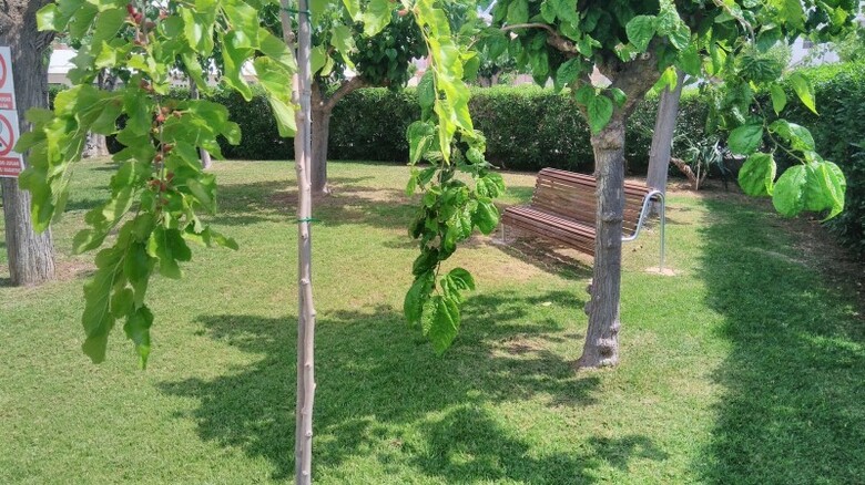 Apartamento Ap Costas Voramar