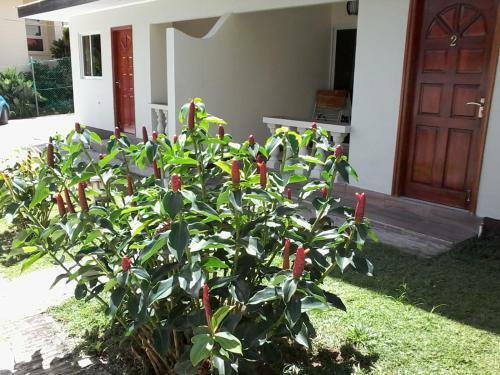 Apartamento Precious Residence C
