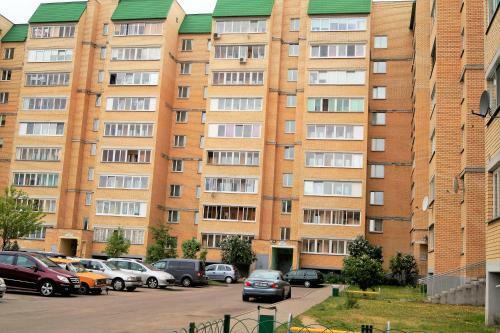 Apartment In Borovlyany