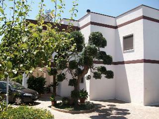 B&B Le Coccinelle