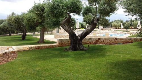 B&B Fiano Marchione