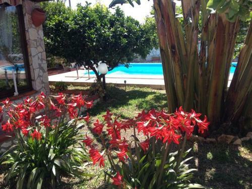 Villa Con Piscina A Balestrate