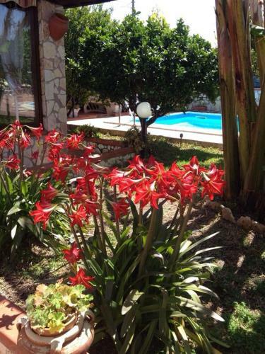 Villa Con Piscina A Balestrate