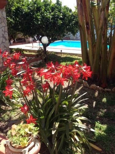 Villa Con Piscina A Balestrate