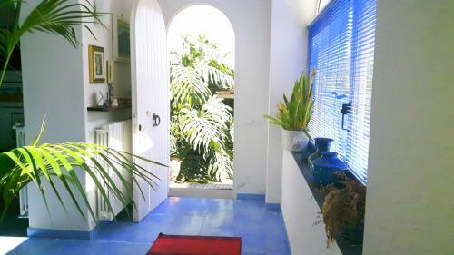Holiday Apartments