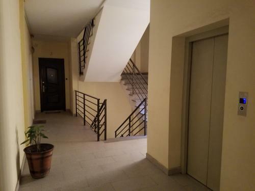 New House Apartment