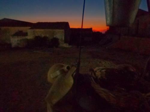 B&B Camemi - Antica Masseria
