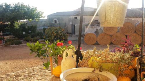 B&B Camemi - Antica Masseria
