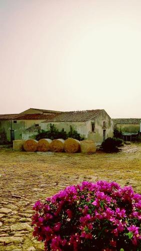 B&B Camemi - Antica Masseria