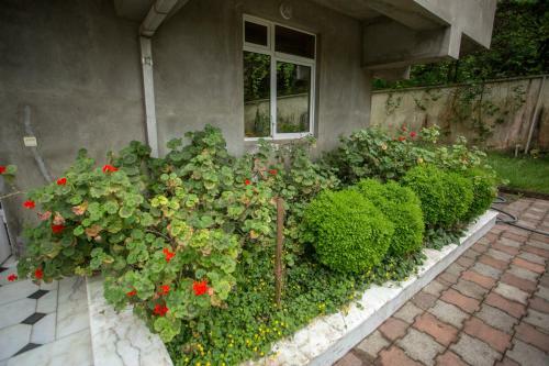 Villa Near Batumi