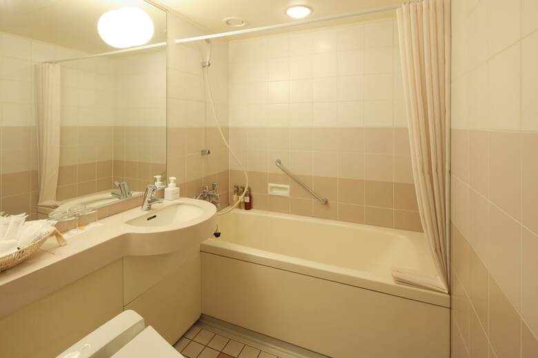Tokyo Daiichi Hotel Nishiki