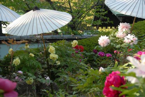 Hotel Dormy Inn Ueno Okachimachi