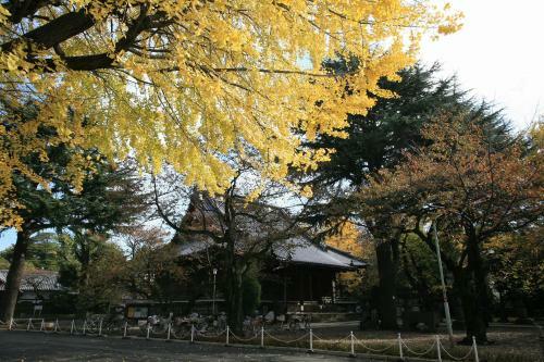 Hotel Dormy Inn Ueno Okachimachi