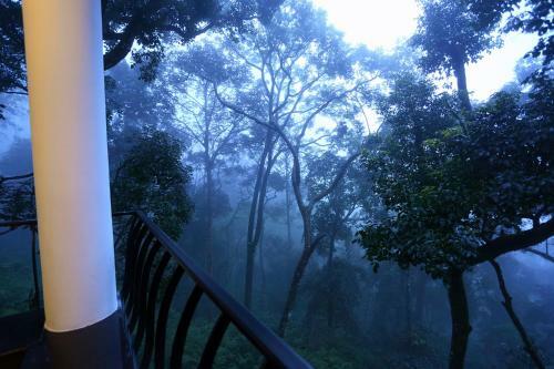 Hotel Madhumanthra Resort