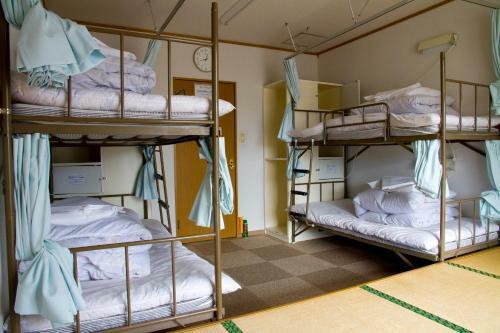 Yakushima Youth Hostel