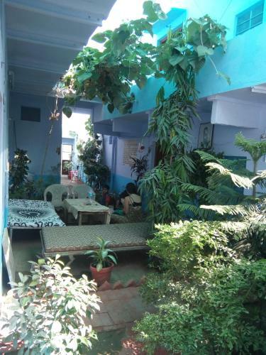 Bed & Breakfast Mayur Guest House