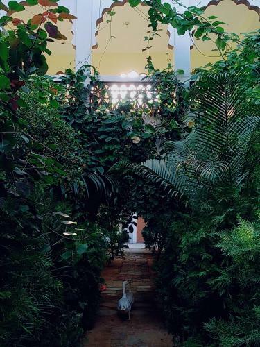 Radhika Palace Hotel