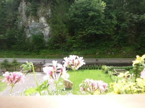 Apartamento G�stehaus Forstner
