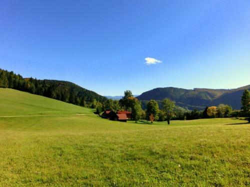 Apartamento G�stehaus Forstner