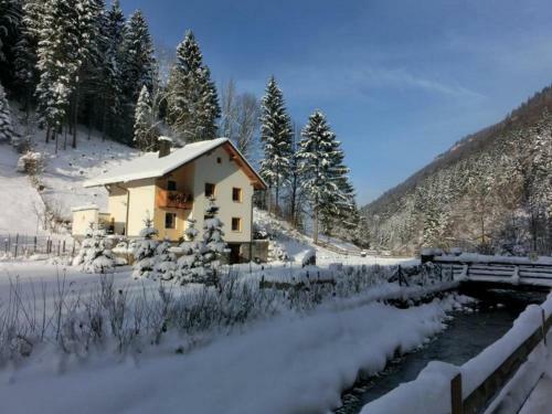 Apartamento G�stehaus Forstner