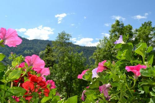 Hostal G�stehaus-pension Barbara