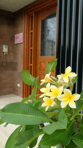 Hana Homestay
