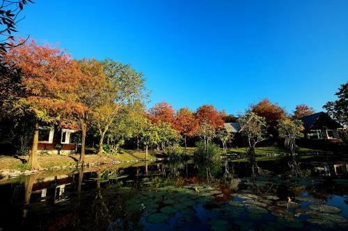 Green Forest Villa