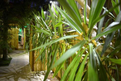La Villa Eilat