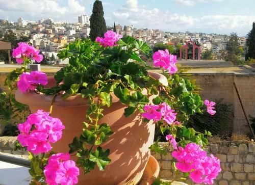 Hostal Rosana Guest House