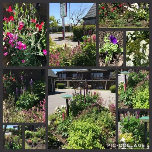 Garden City Motel