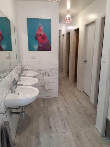 Albergue Arthouse Accommodation Boutique Backpackers