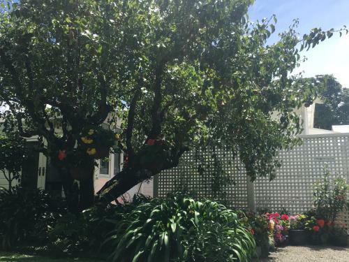 Hostal Aylstone Martinborough