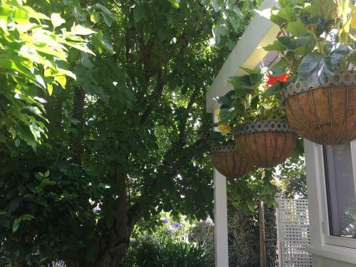 Hostal Aylstone Martinborough