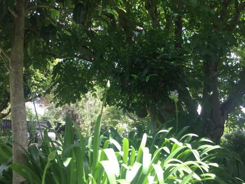 Hostal Aylstone Martinborough