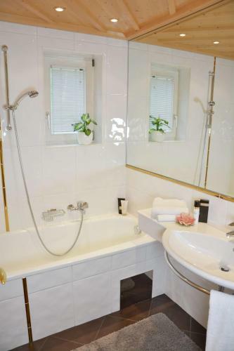 Apartamentos Appartements Aurikel Corso