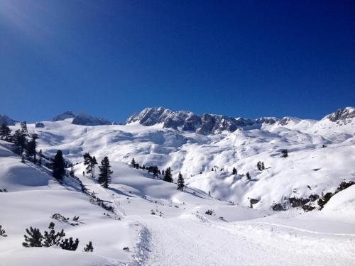 Apartamentos ''die Bergerin'' | Appartements Schladming