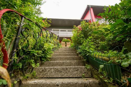 Hostal Fewo L�wenherz